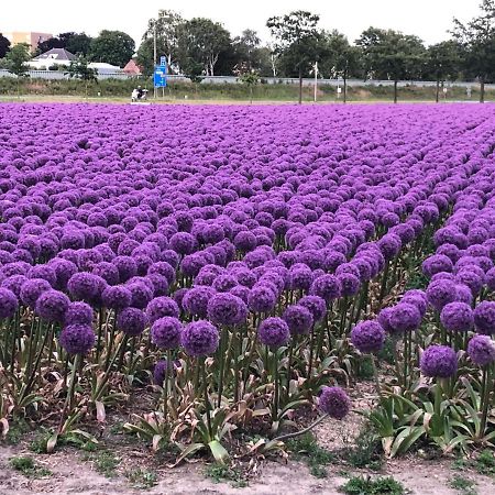 Bed & Breakfast De Vier Seizoenen Lisse Dış mekan fotoğraf